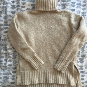 Everlane Cloud Turtleneck